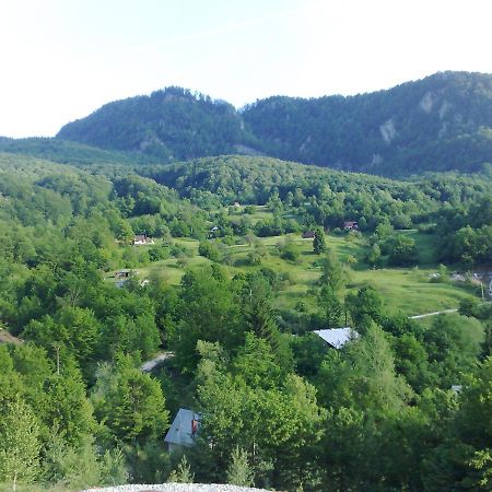 Pensiunea Dolvas Padis Exterior photo