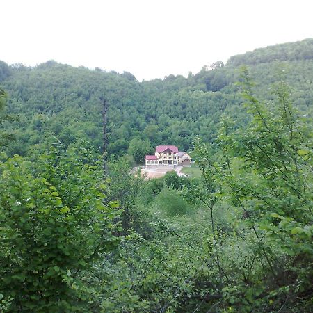 Pensiunea Dolvas Padis Exterior photo