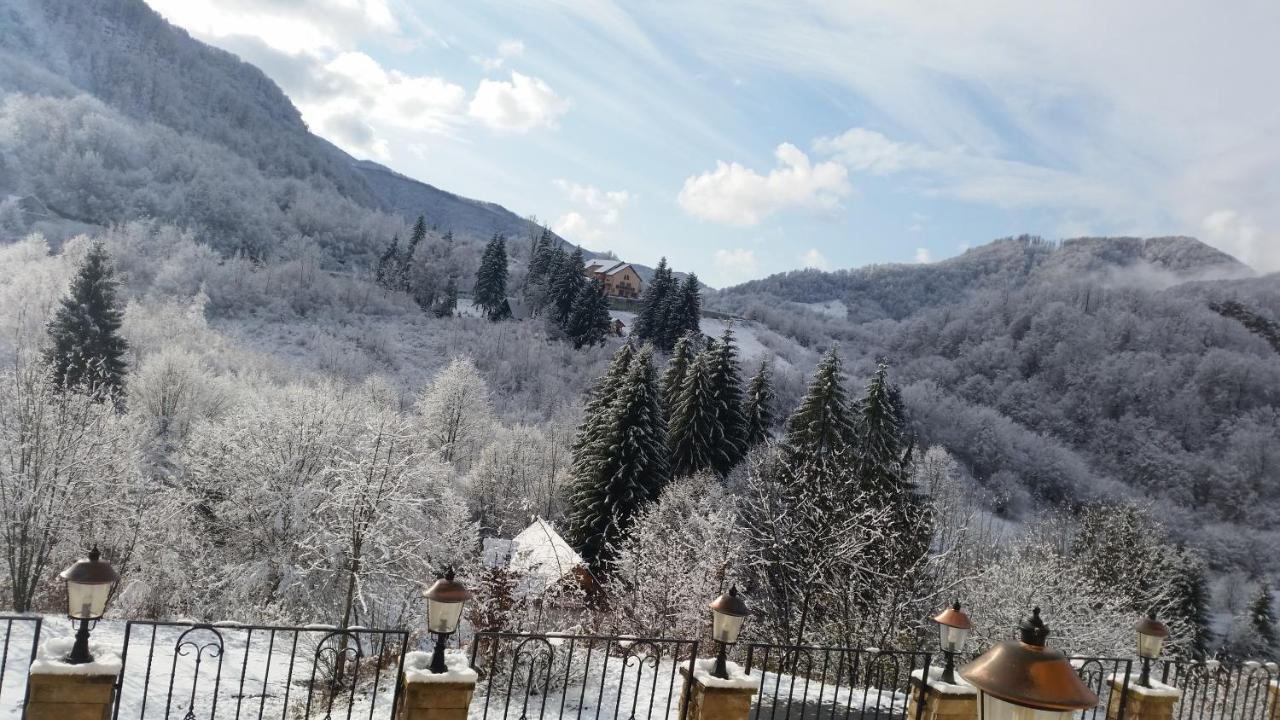 Pensiunea Dolvas Padis Exterior photo