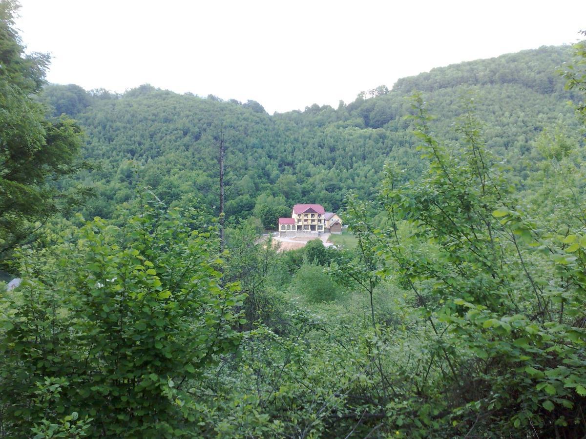 Pensiunea Dolvas Padis Exterior photo